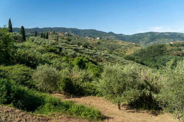 Veduta di Borgo a Buggiano, capoluogo comunale