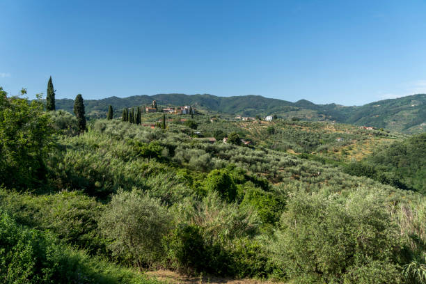 Vicoli e mura medievali di Buggiano Castello