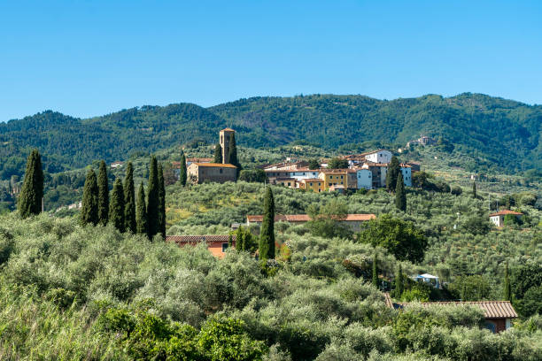 Panorama di Buggiano con le colline sullo sfondo