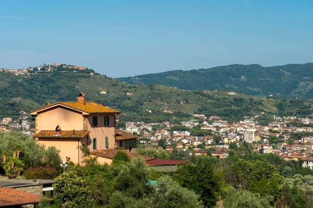 Uliveti e case coloniche nella campagna di Buggiano