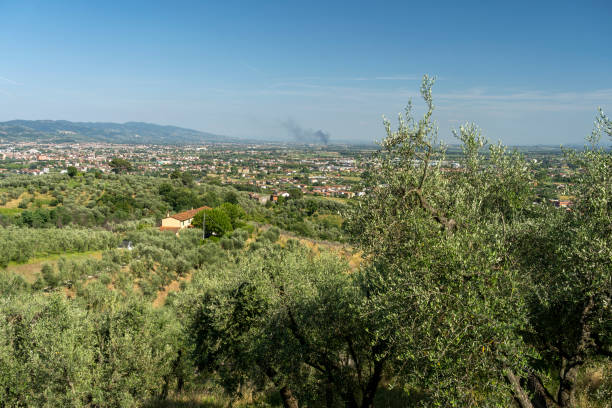 Veduta di Buggiano Castello dalla campagna