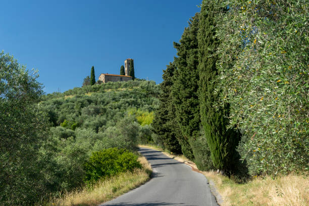 La pieve sulla collina tra gli ulivi, nei pressi di Buggiano